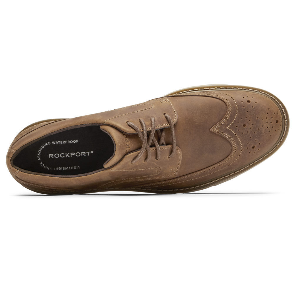 Tenis Rockport Homem Caqui - Charlee Waterproof Wingtip - 93125JYGM